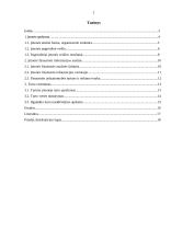 Tarptautinių finansų praktikos ataskaita 2 puslapis